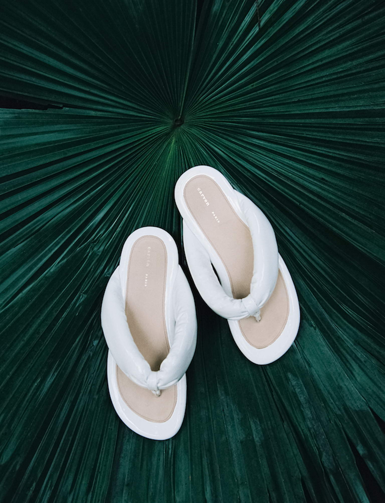 THE ART OF OBSERVATION INDEX 05