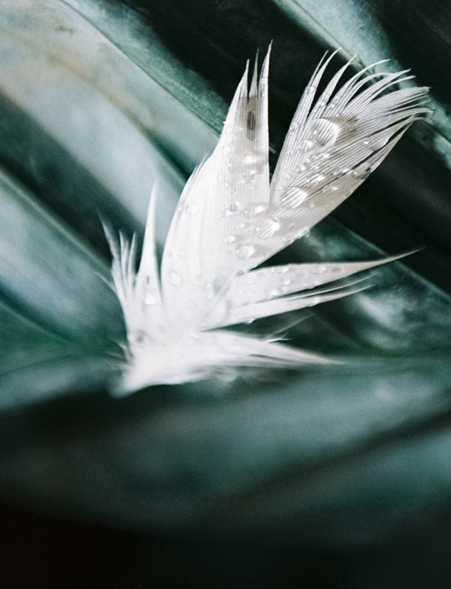 THE ART OF OBSERVATION INDEX 11