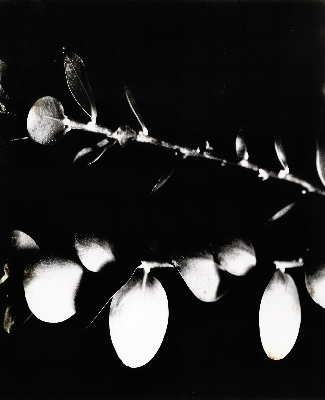 Brighter The Star RAPH IN MY BEDROOM.MP4 Photo01