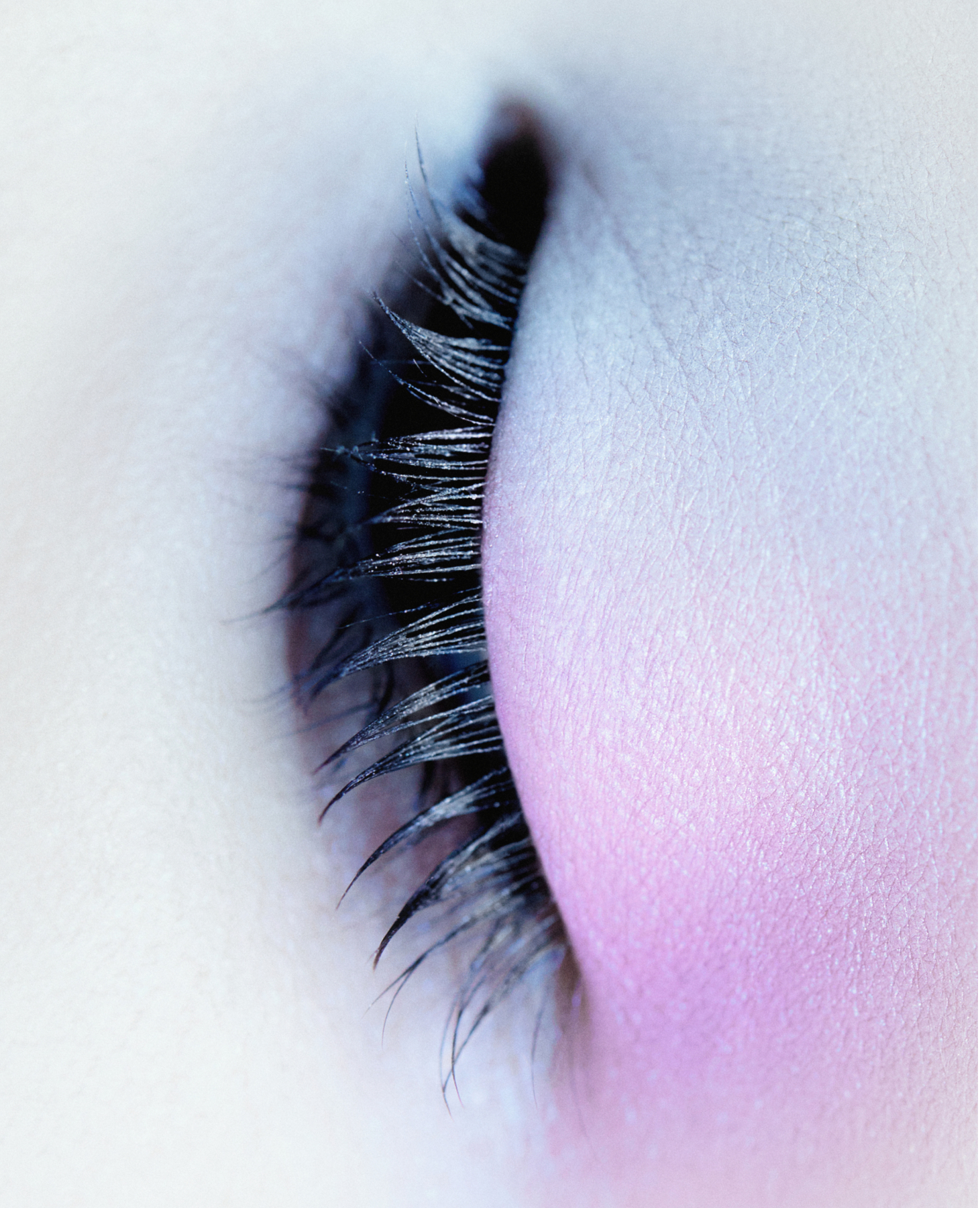 P02 WhenTheSkyBloomSakura