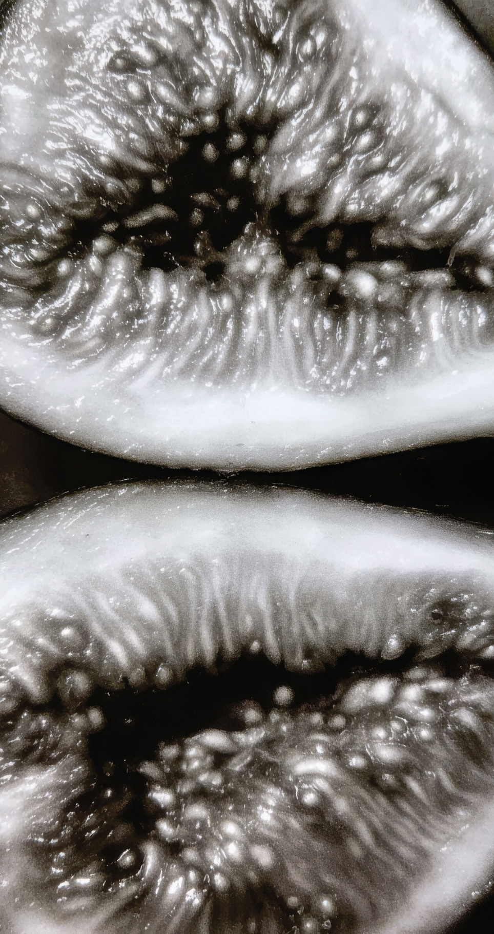 THE WHOLE IS GREATER THAN THE SUM OF ITS PARTS