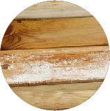 Schimmel (witte of zwarte vlekjes)