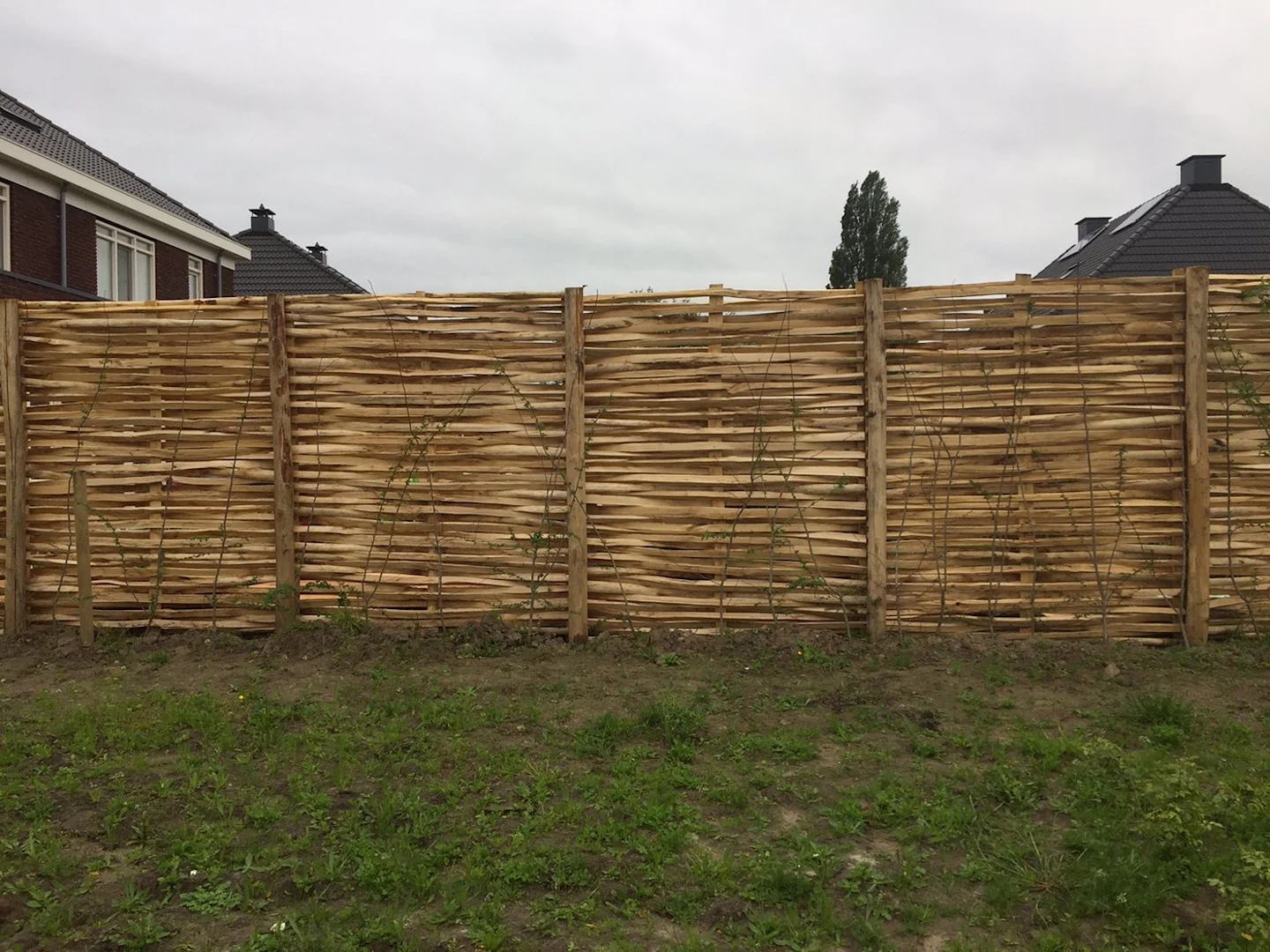 natuurlijke schutting