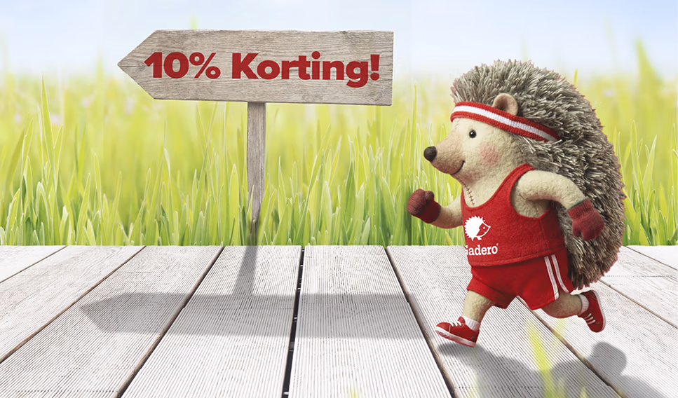 Banner Home D Hardlopers NL 725x426