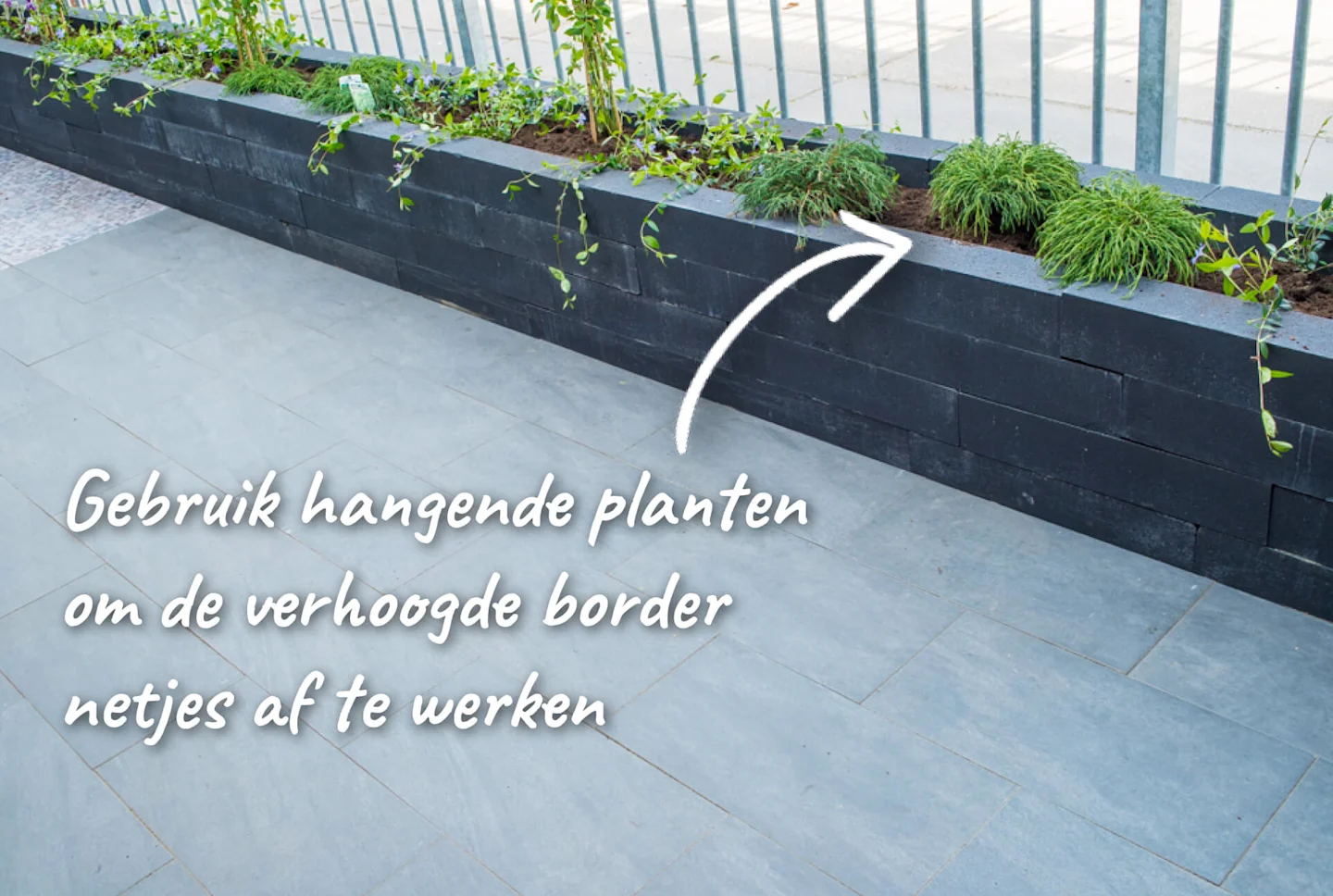Border
