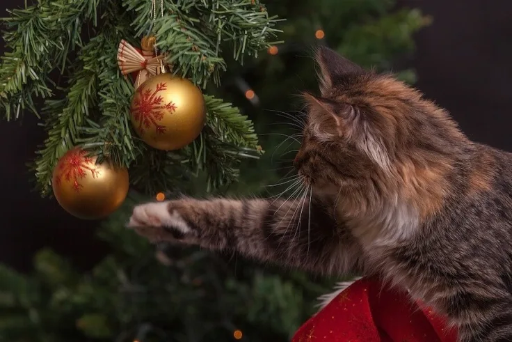 katvriendelijke kerstballen kerstversiering