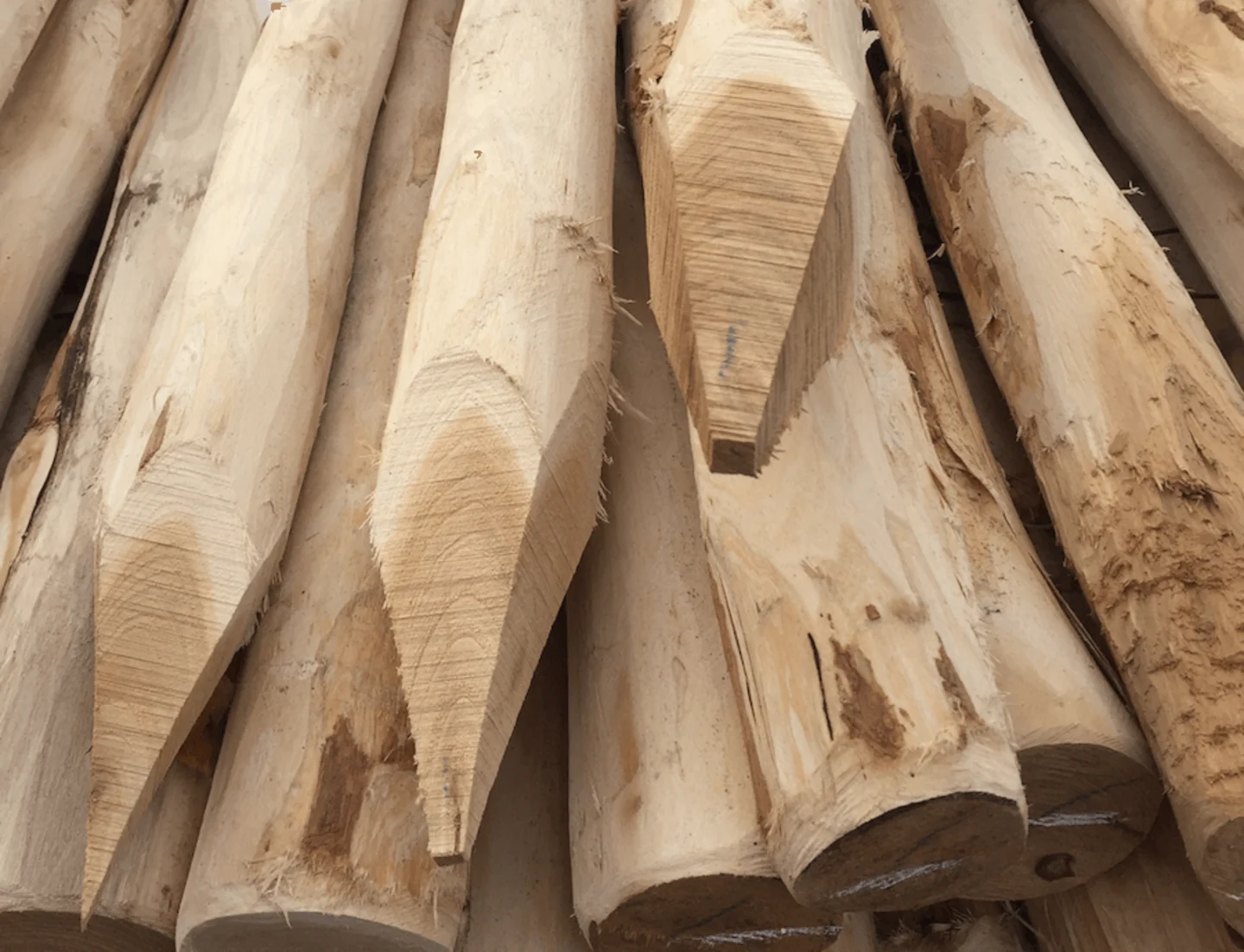 robinia ronde palen