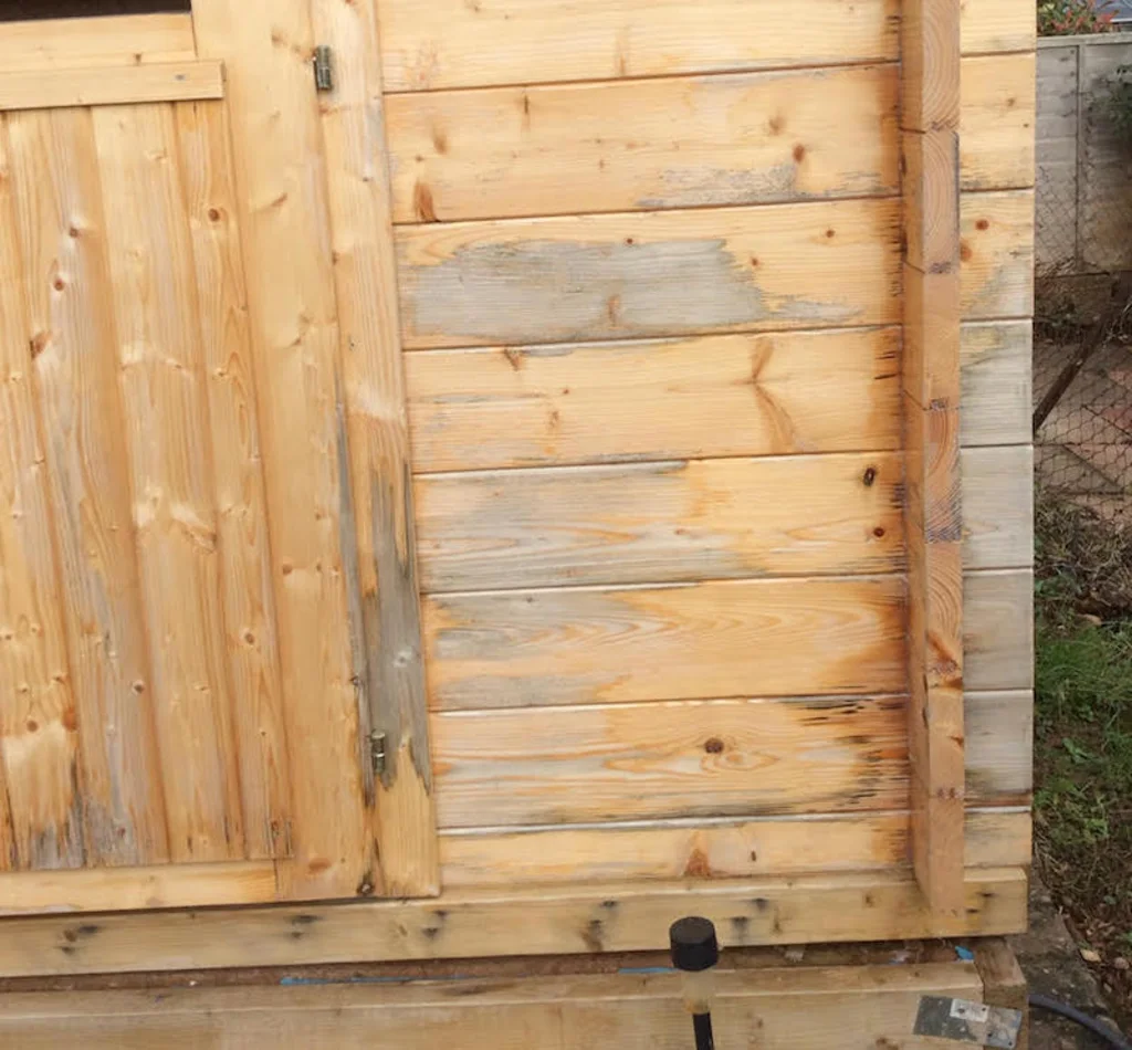 discoloured-logs