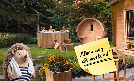 Banner Home M Hottub Herfst LK NL 410x250