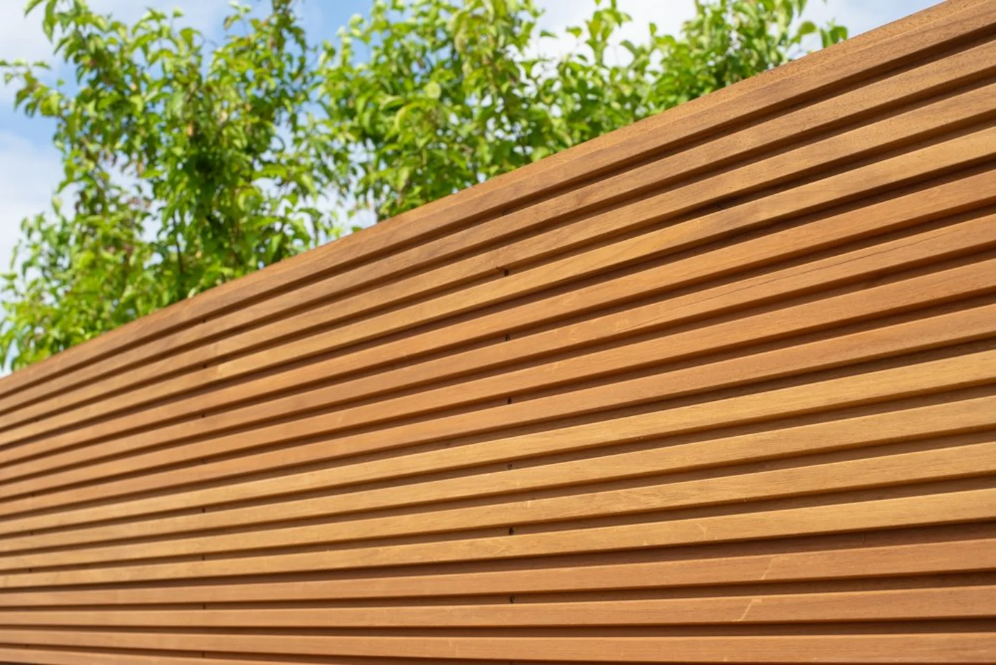 Schutting thermisch gemodificeerd grenen hout