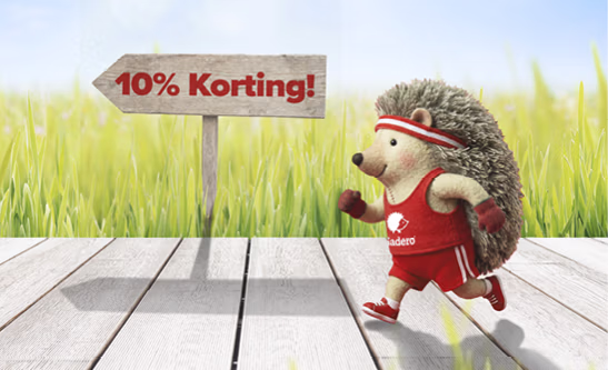 Banner Home M Hardlopers NL 410x250