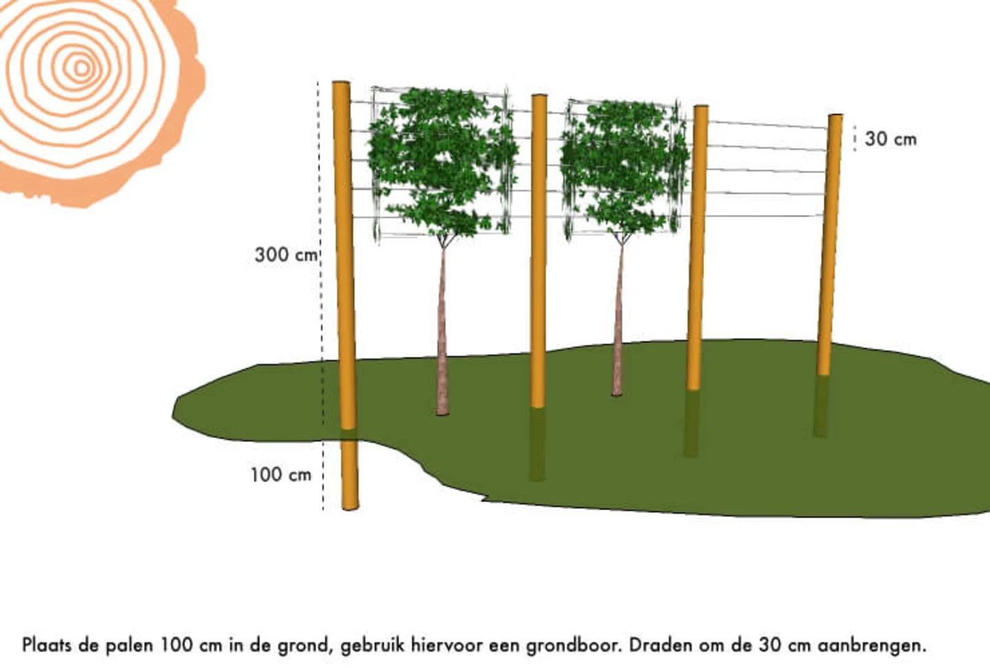 detail leibomen