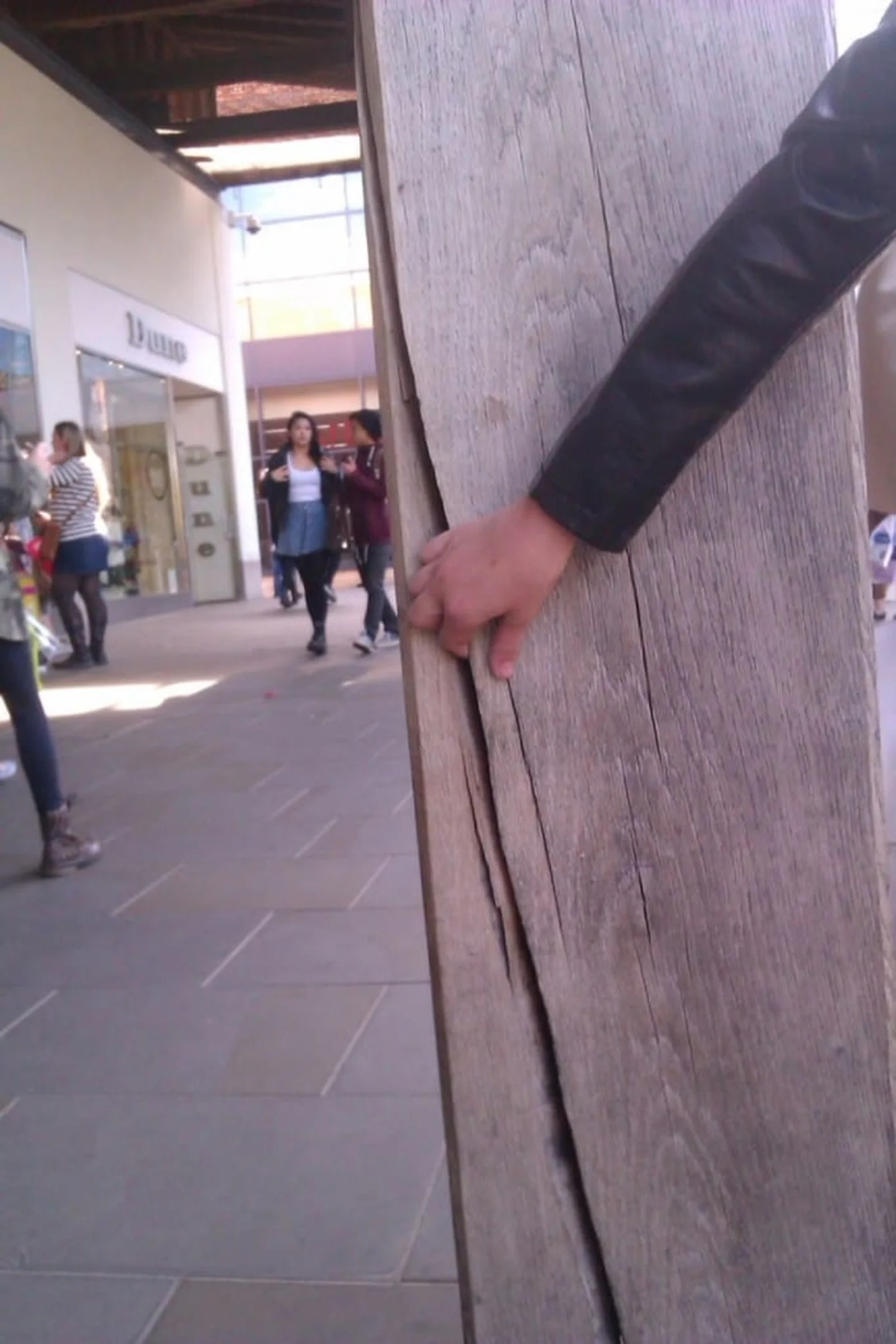 Crack in timber