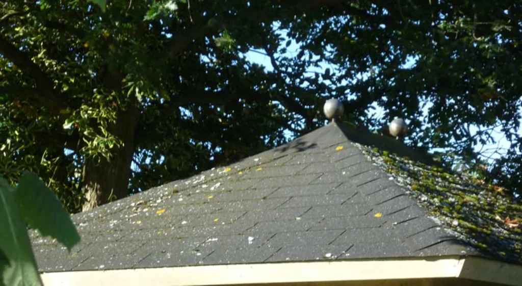 Old felt shingled cabin