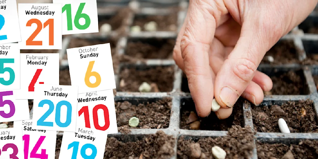 Gardening Calendar
