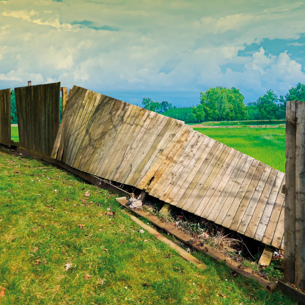 Banner Stormschade