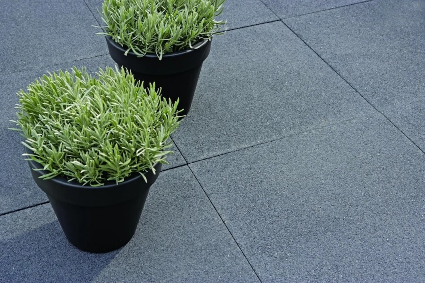 Terrastegel plus 60x60x4 geimpregneerd