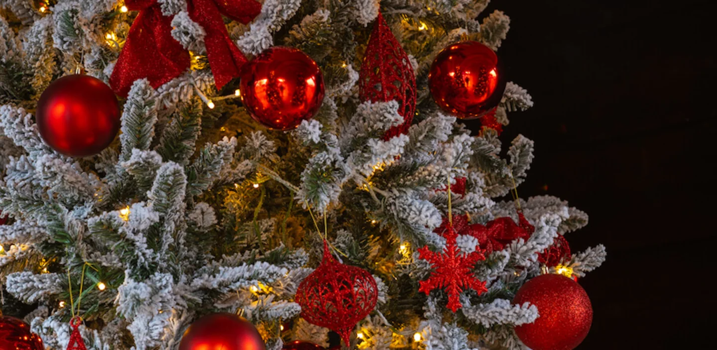 Gadero Christmas 2020 Breukelen