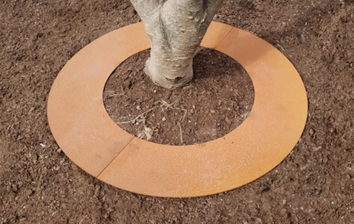 Boomring Cortenstaal