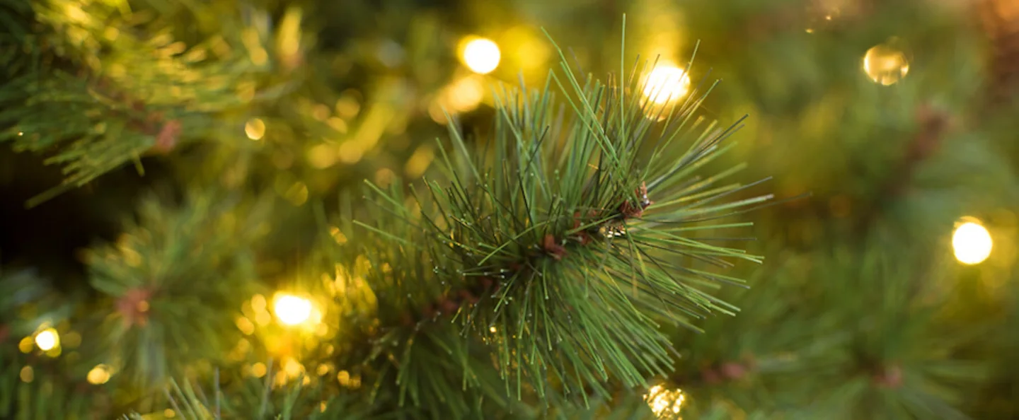 Eindhoven kunstkerstboom