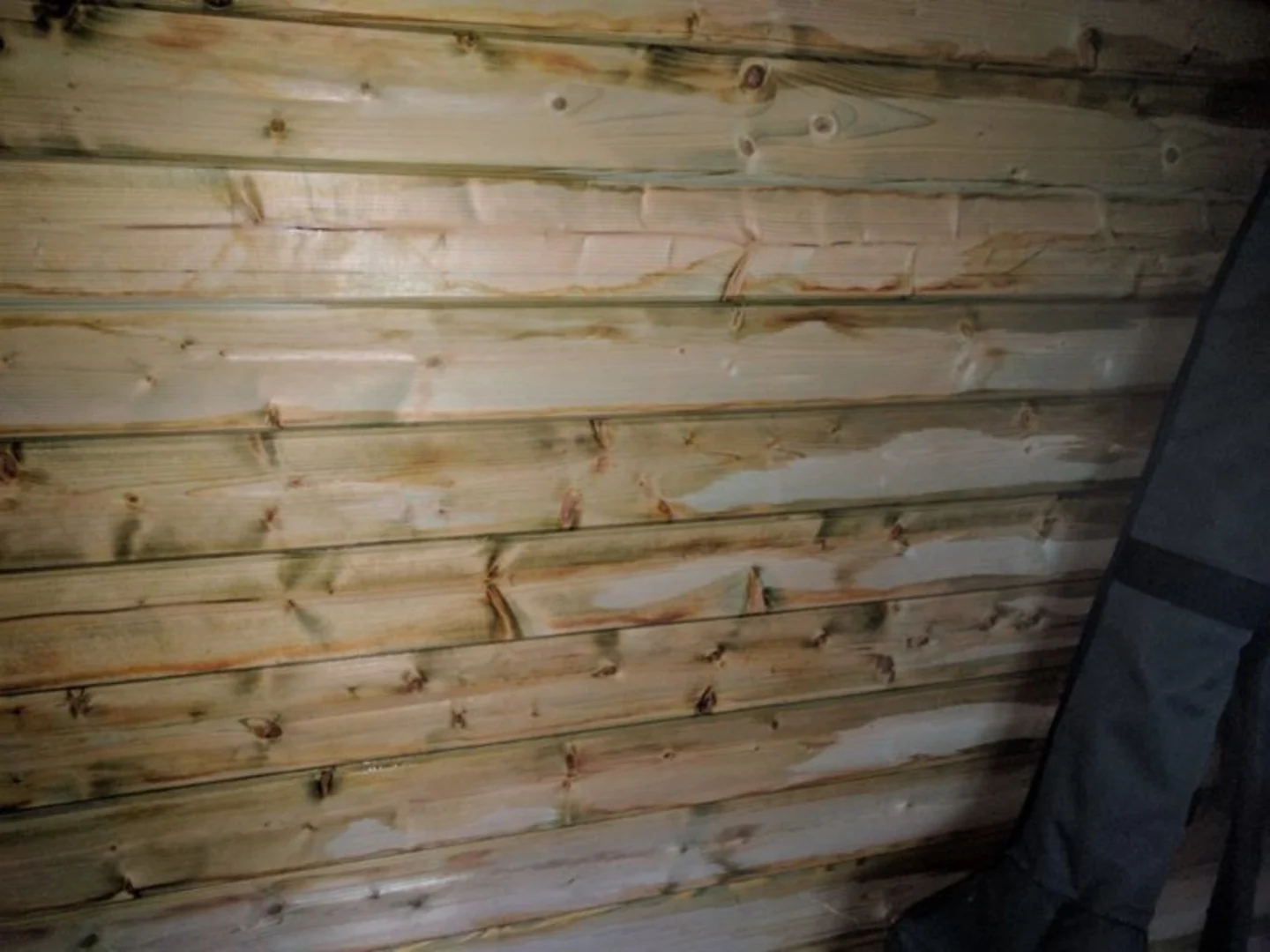 Log-cabin-bad-treatment-fib-1-768x576