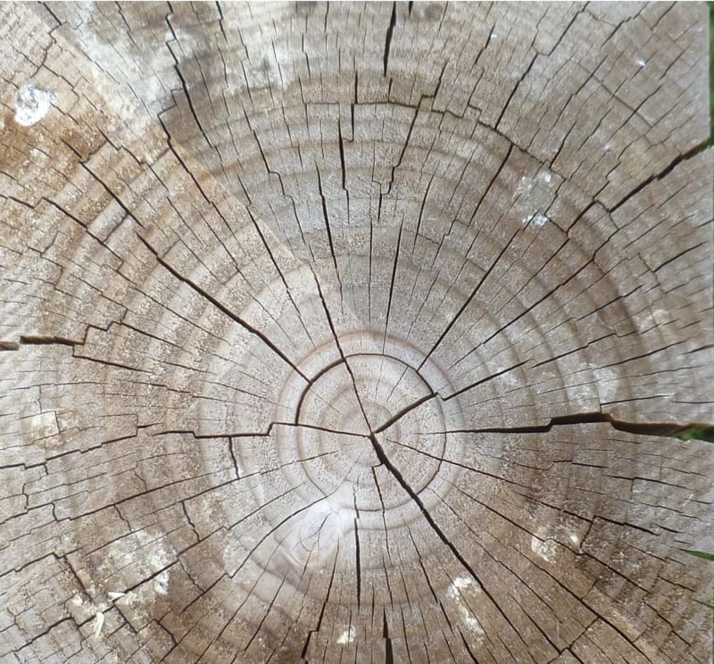 Split fence post