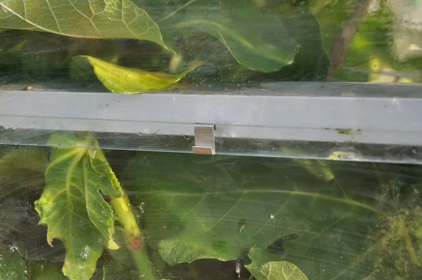 tuindersglas glasklemmen tuinkas