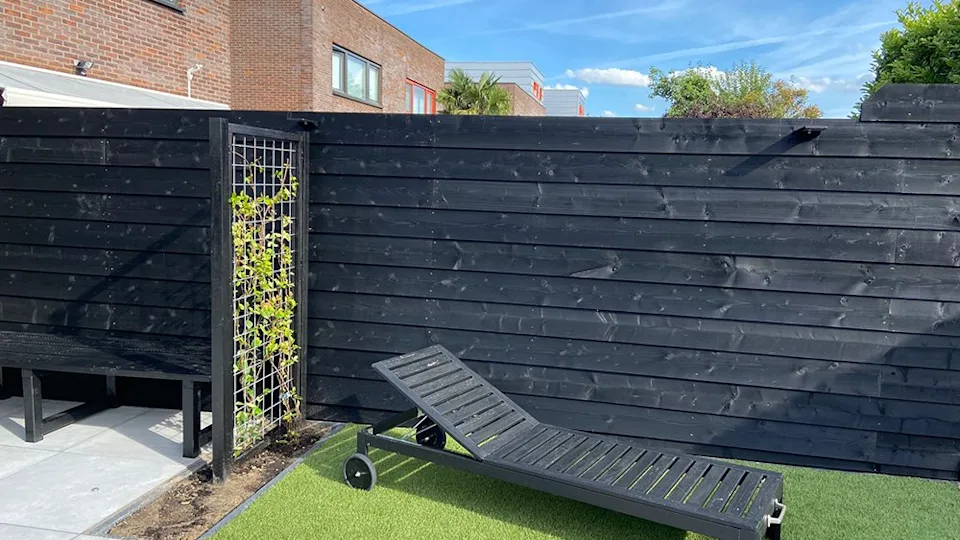 tuinplank zwart 20x200mm douglas