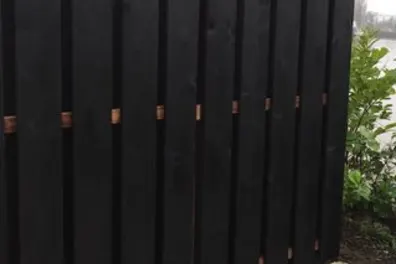 tuinplank zwart 20x200mm douglas