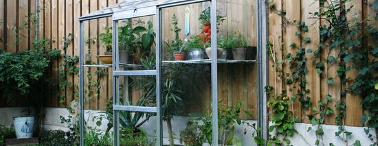 royal well muurkas wall garden 