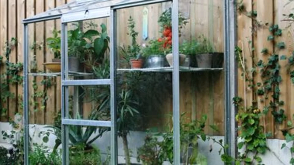 royal well muurkas wall garden