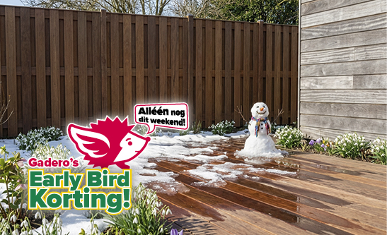 Banner Home M EB SVG LK NL 410x250