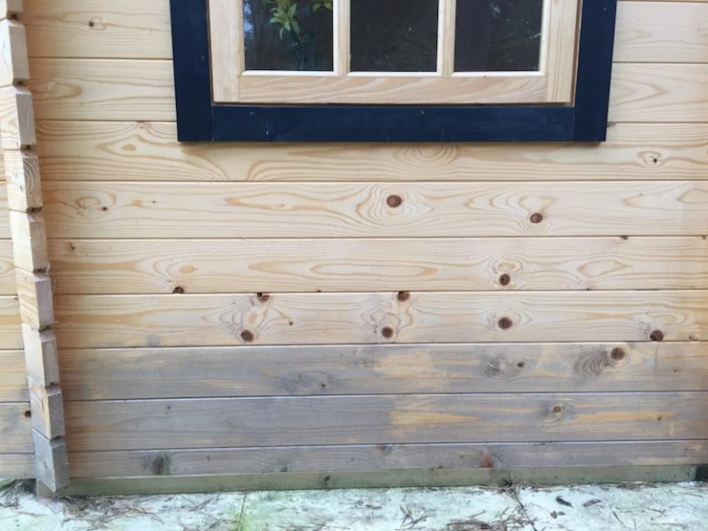 Log-cabin-bad-treatment-768x576