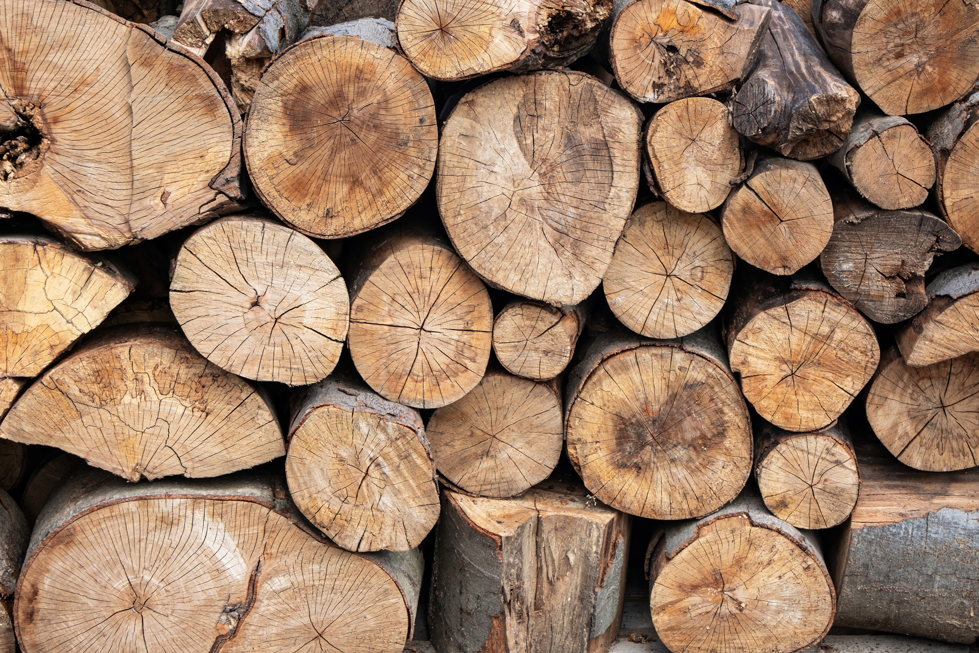 Boomstammen Houtsoorten page