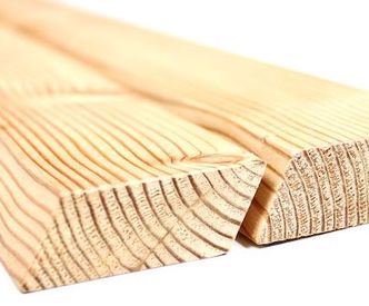 Siberisch Lariks rhombus