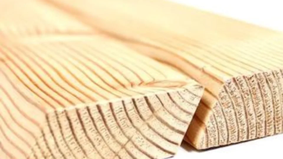 Siberisch Lariks rhombus