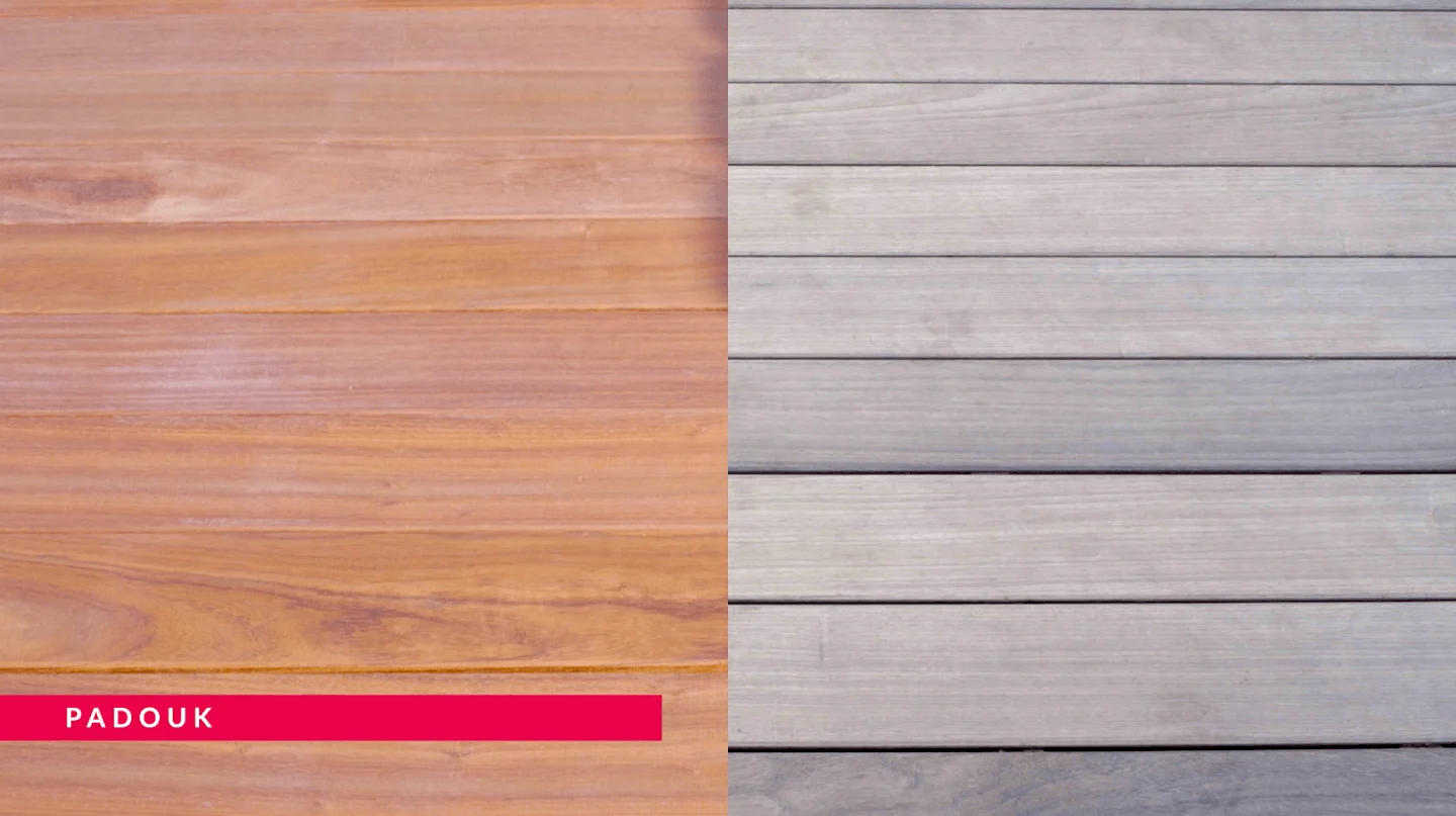 Padouk hout vergrijzing