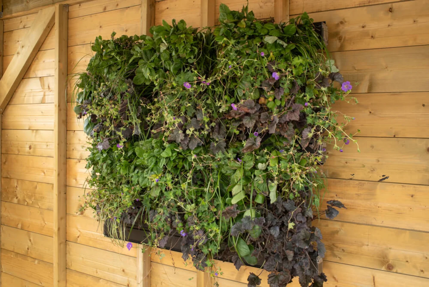 groene wandcassettes live panel pack