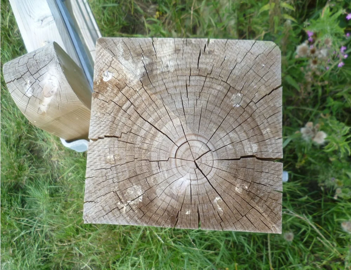 Cracked fence post