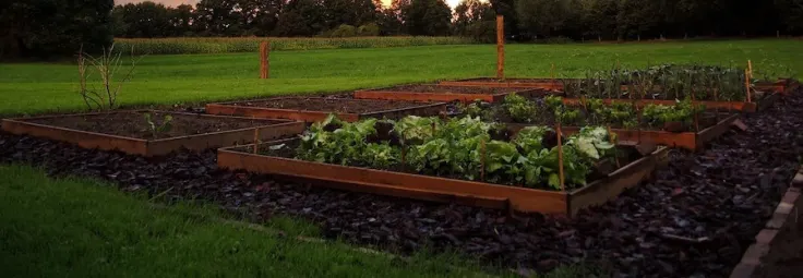 moestuin bakken in de tuin