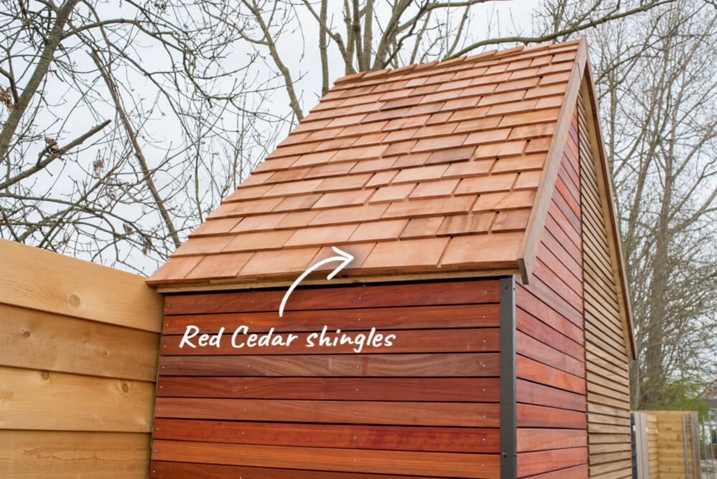 Red cedar