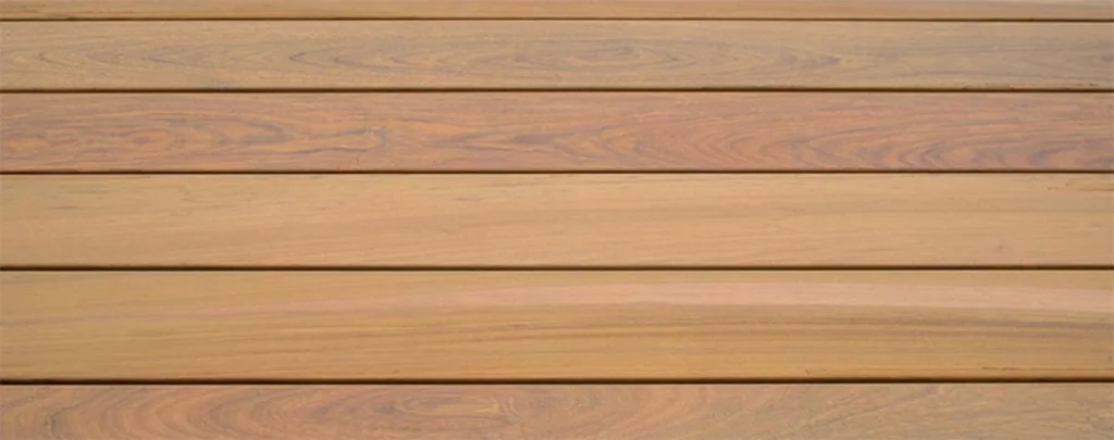 asset
