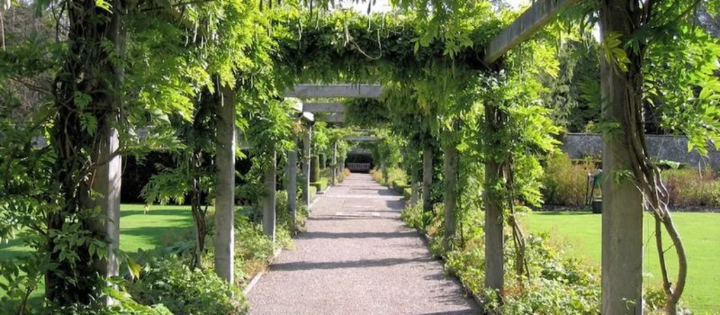 pergola begroeid met klimplanten