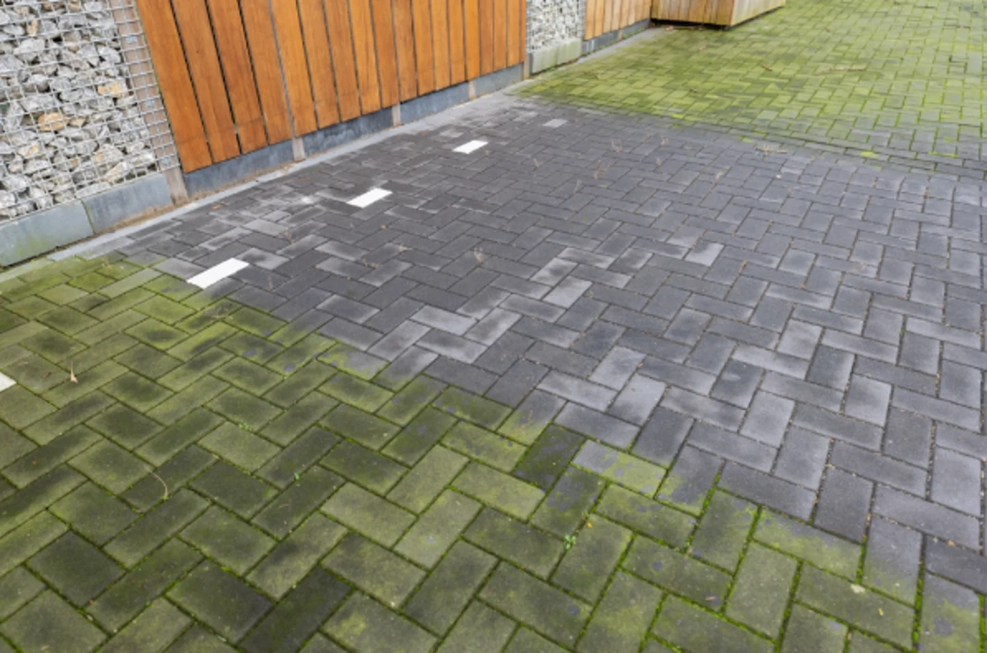 Groene aanslag op tegels