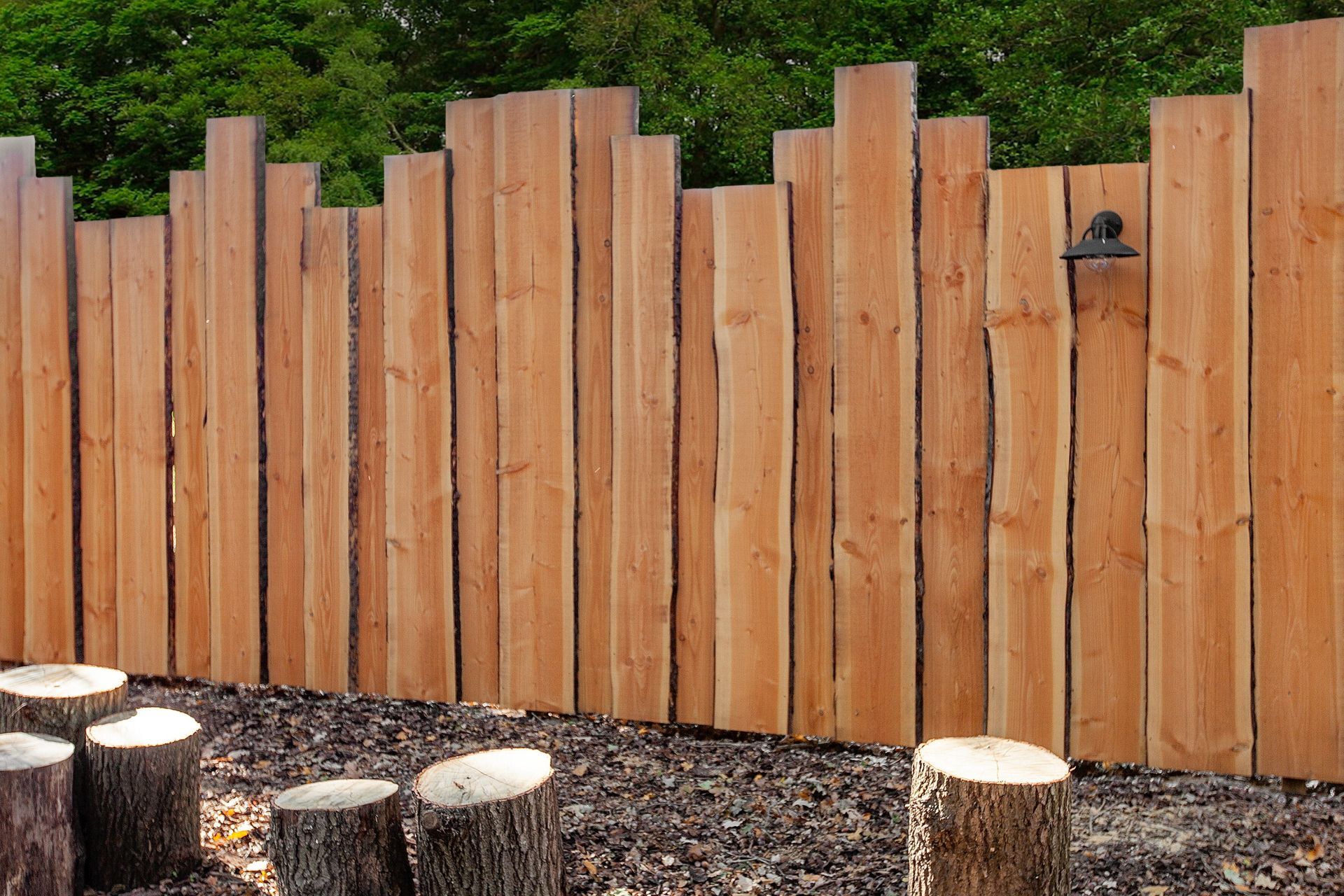 Lariks douglas schaaldeel