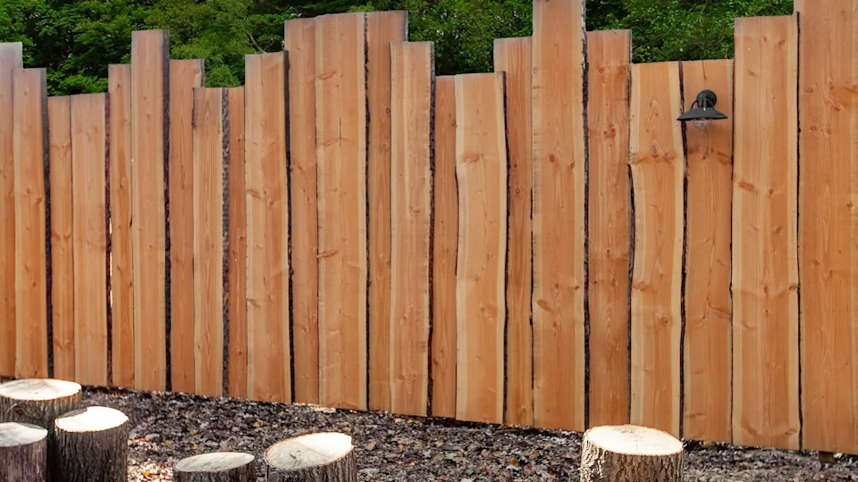 Lariks douglas schaaldeel