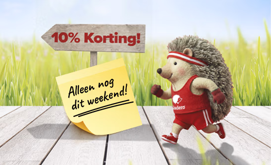 Banner Home M Hardlopers NL LK 410x250