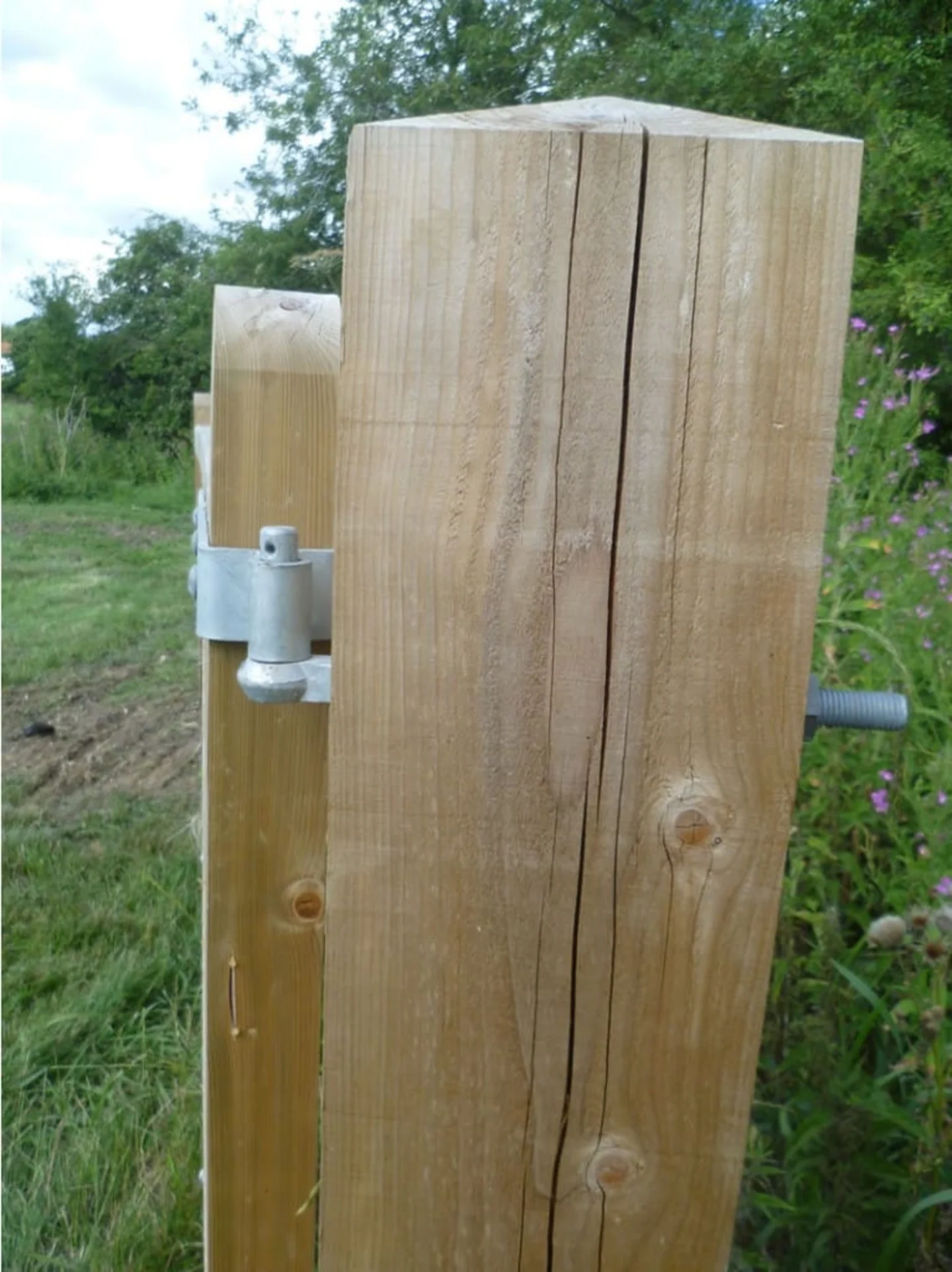 Longitudinal crack in timber post