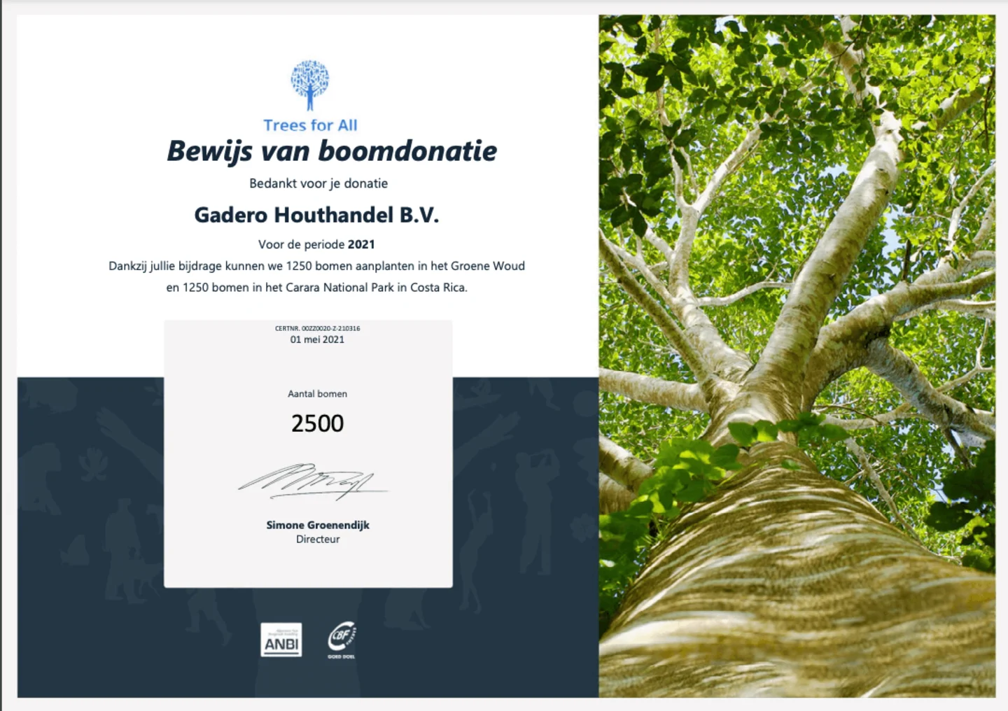 Trees for all