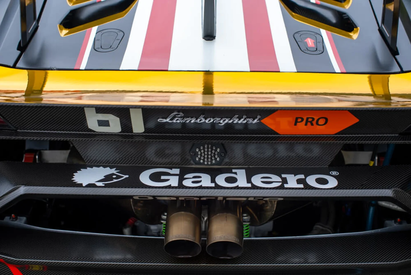 Gadero Max Lambo